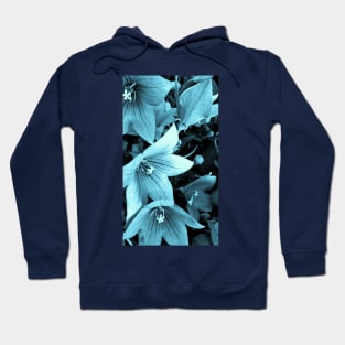 Denim Bluebells Hoodie